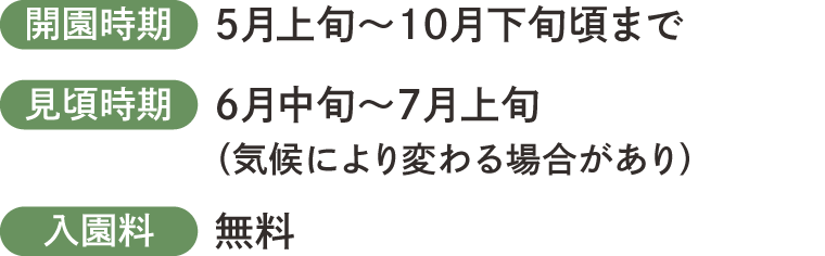 開園時期は５月上旬～１９月下旬ごろまで。見頃時期は６月中旬～７月上旬。入園料は無料